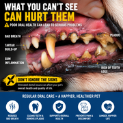 Healthzeri pet dental care – image 2