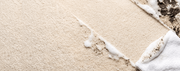 Carpet cleaning detail