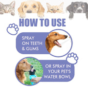 Healthzeri Oral Care Spray for Dogs & Cats — 3