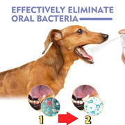 Healthzeri Oral Care Spray for Dogs & Cats — 4
