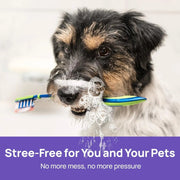 Healthzeri Oral Care Spray for Dogs & Cats — 5