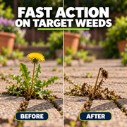 xmWeedKillerl260923 carousel v3 02