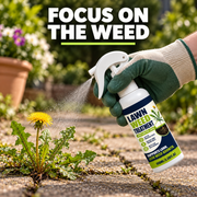 xmWeedKillerl260923 carousel v3 05